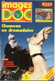 chameau ou dromadaire - Click to enlarge picture.