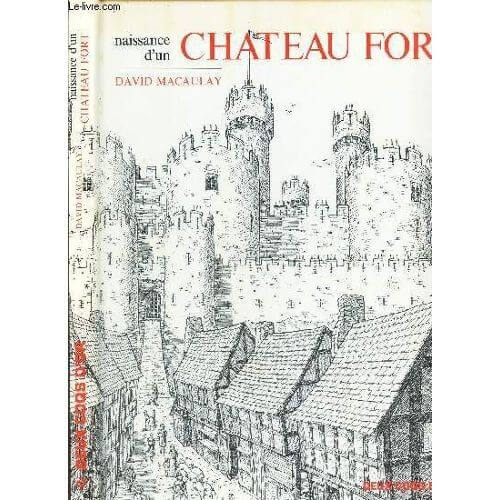 Naissance d'un château fort - Click to enlarge picture.