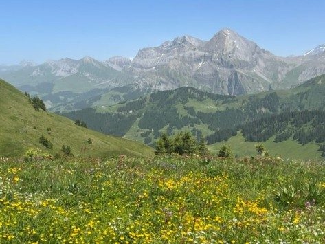 Près d’Adelboden, en Suisse