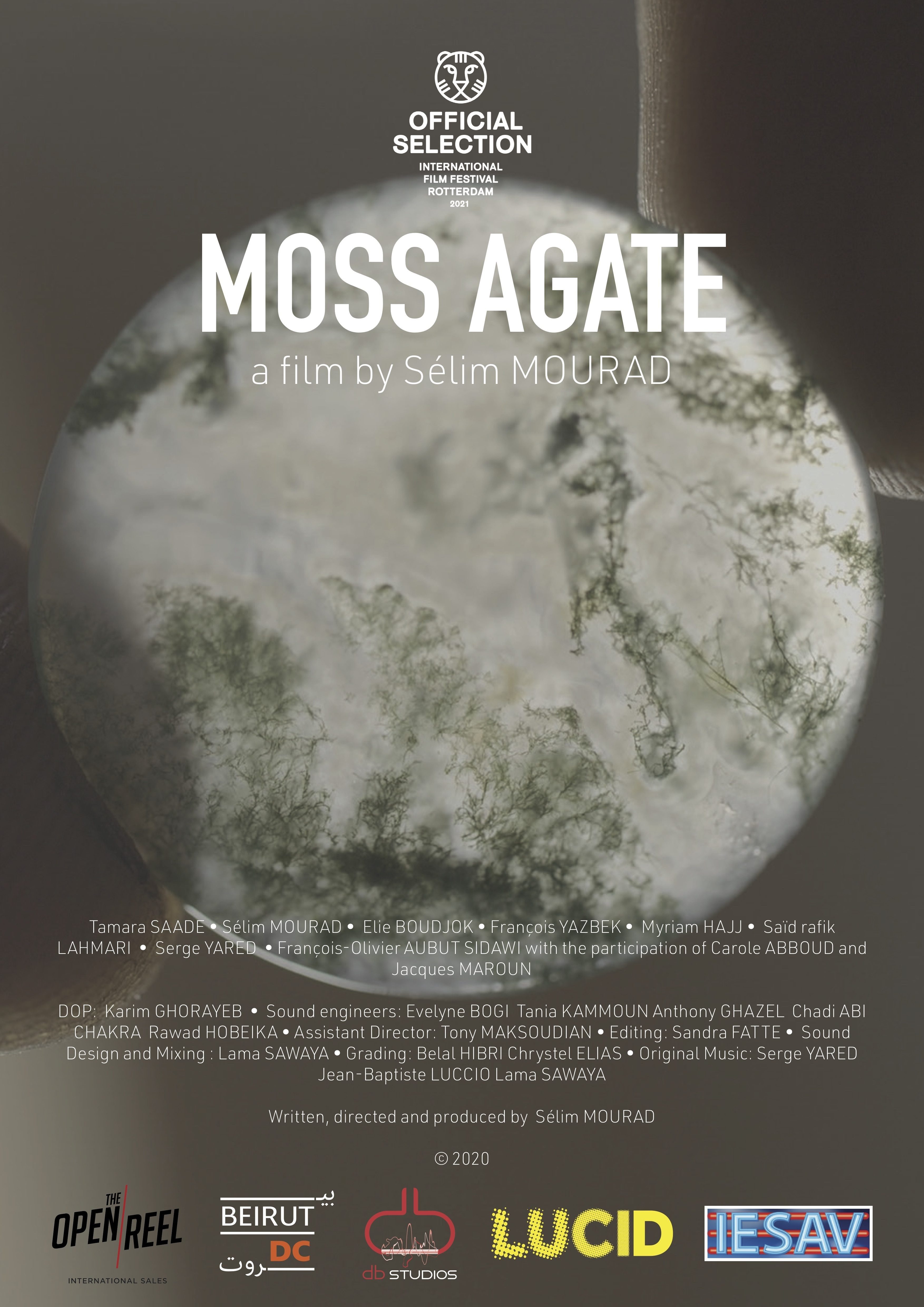 Moss Agate  + Mariam - Arab Film Festival