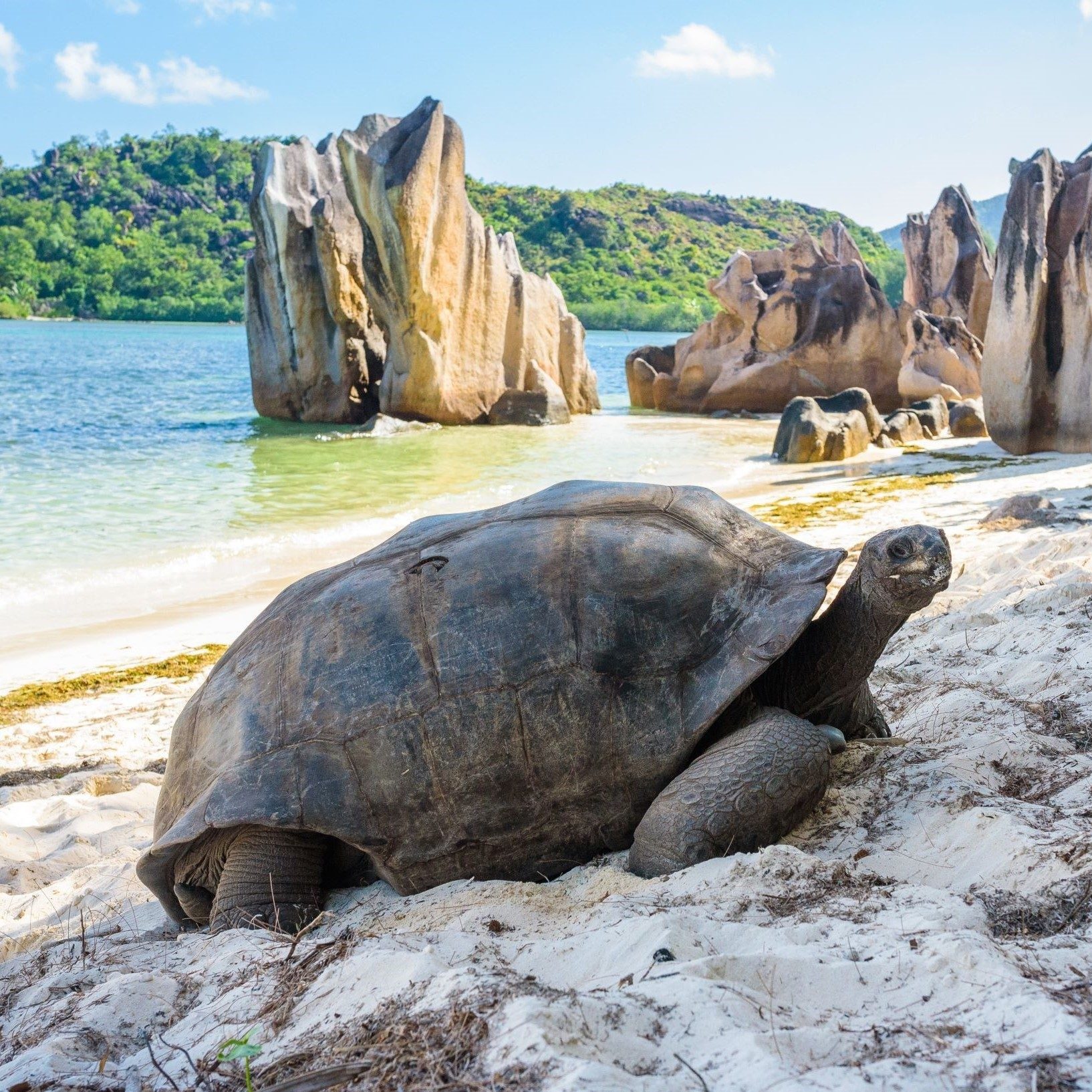 5 things to know about Seychelles