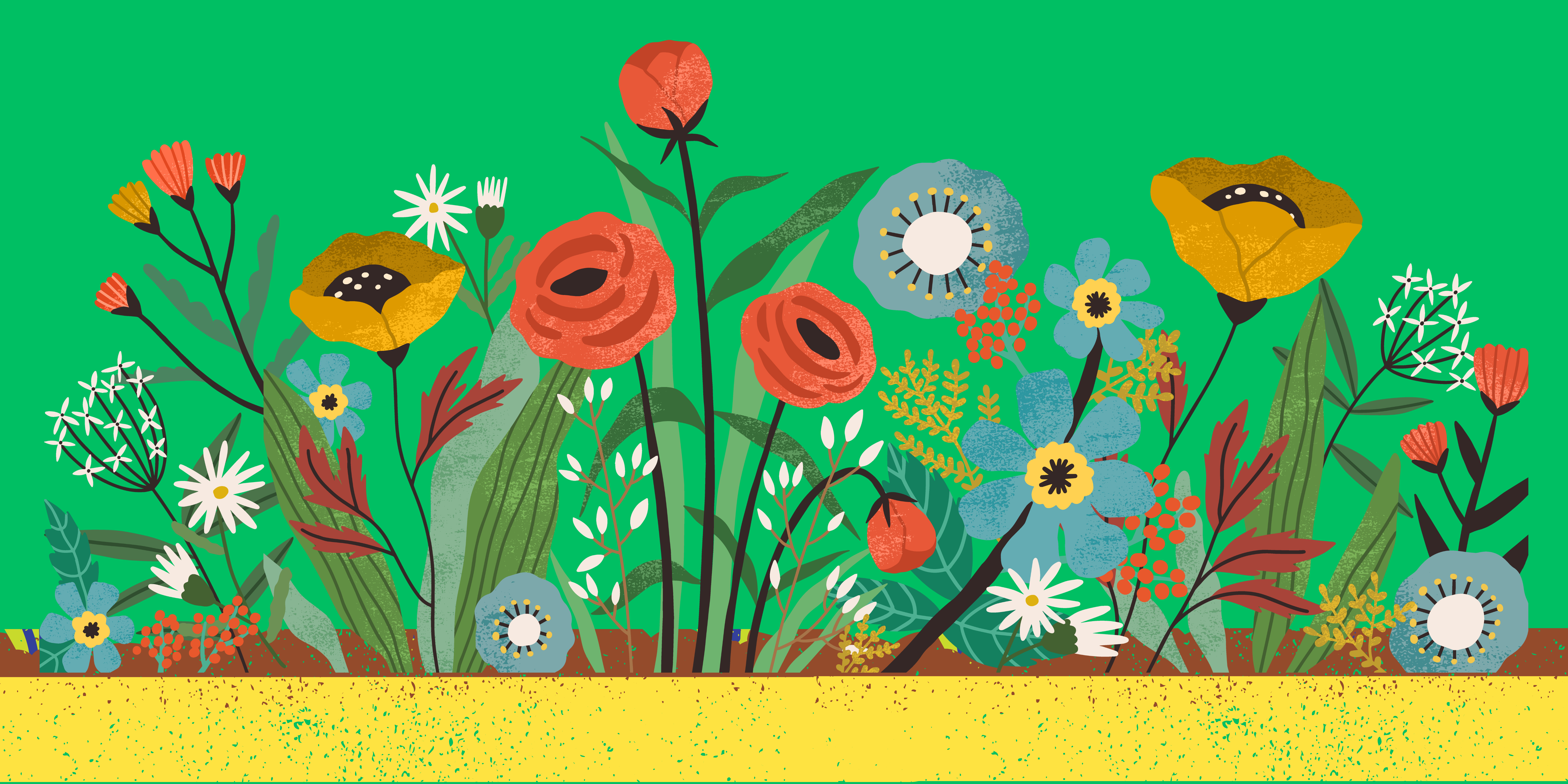 What to plant in your French Garden?