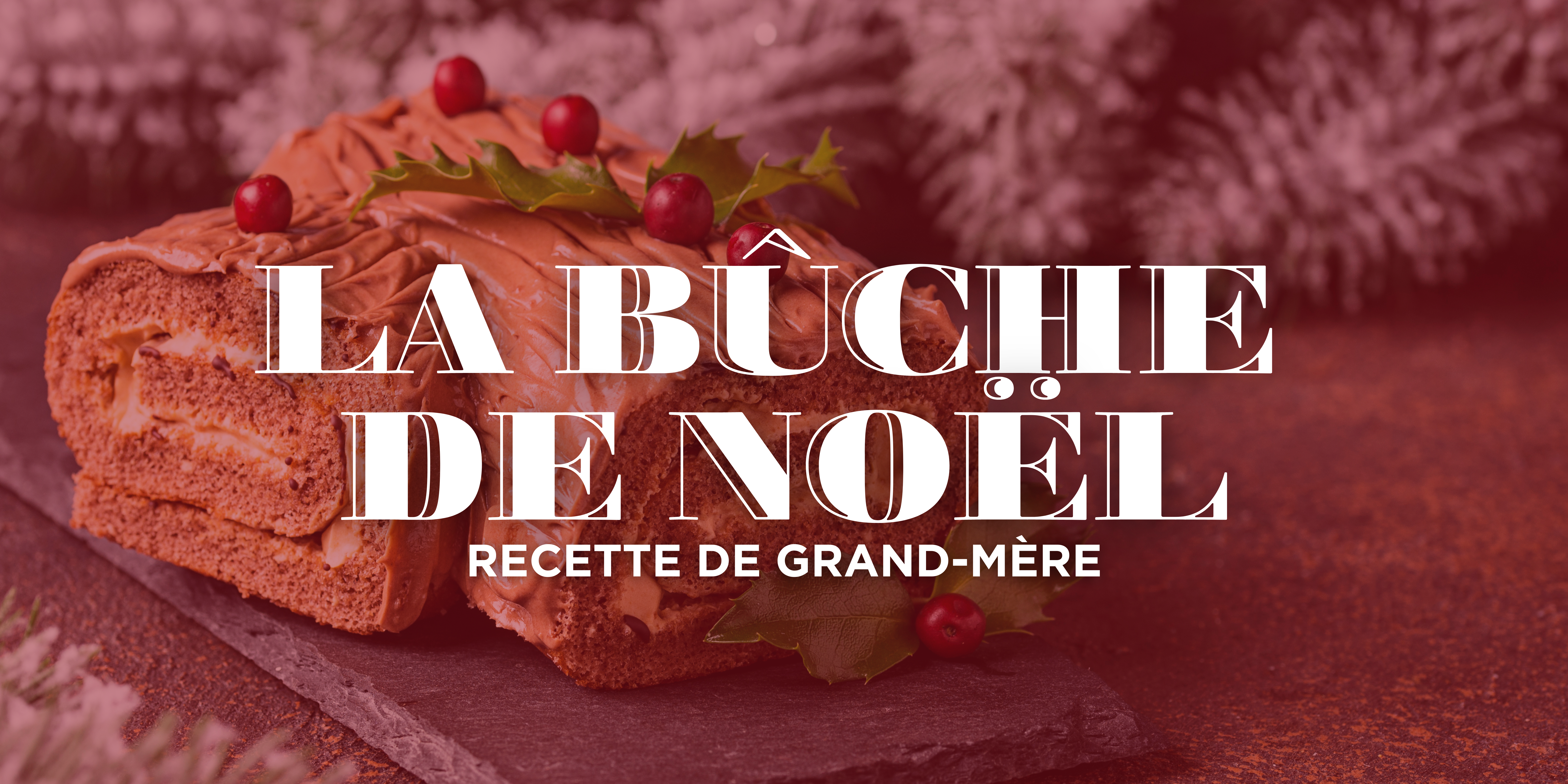 La traditionnelle bûche de Noël : Recette de grand-mère