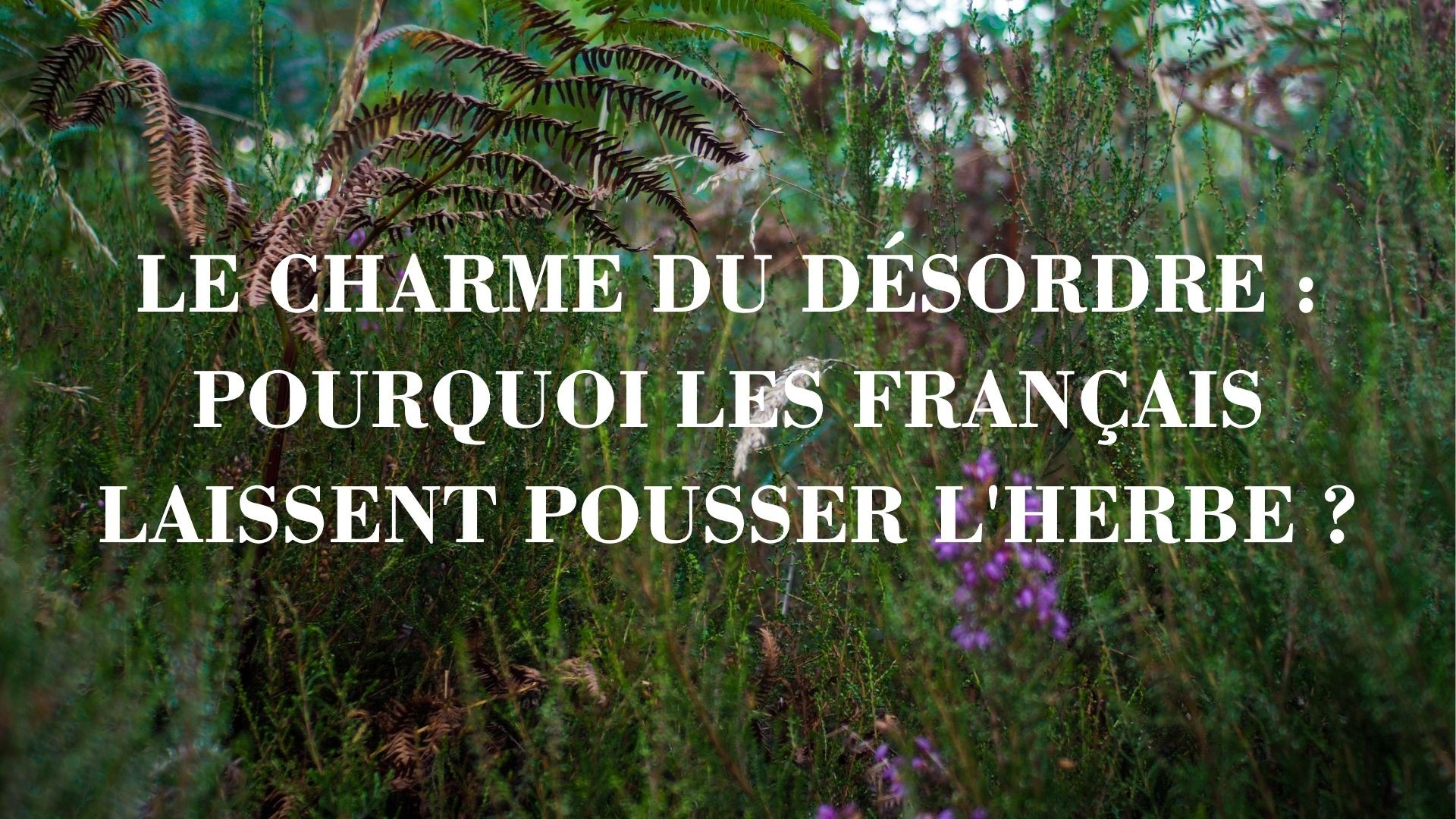 Le charme du désordre : pourquoi les Français laissent pousser l'herbe ?