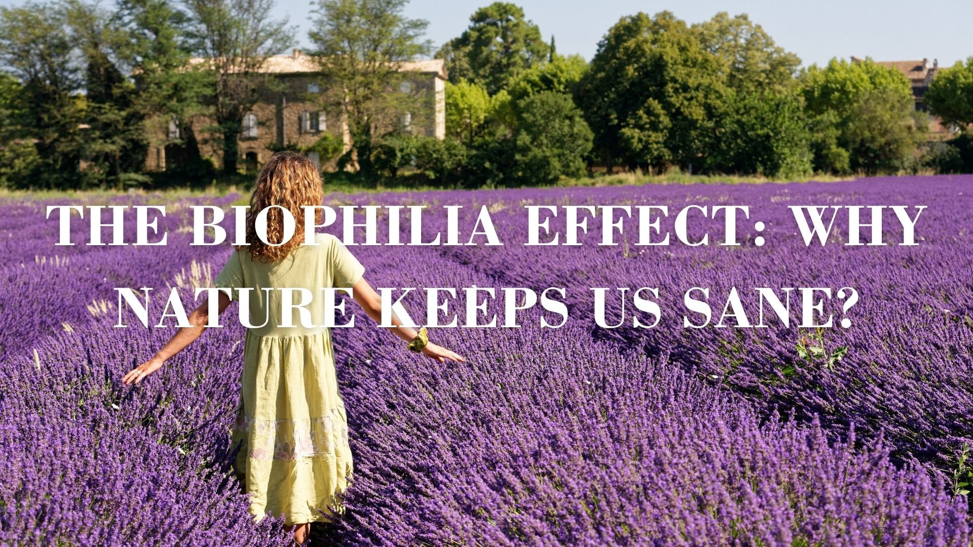 The biophilia effect: why nature keeps us sane?